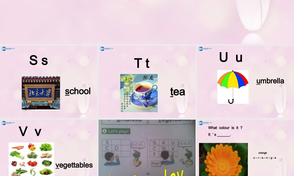 2014秋三年级英语上册 Lesson 11 Orange, Brown, White, Black课件3 冀教版