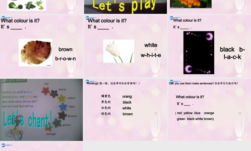 2014秋三年级英语上册 Lesson 11 Orange, Brown, White, Black课件3 冀教版