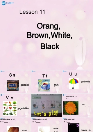 2014秋三年级英语上册 Lesson 11 Orange, Brown, White, Black课件3 冀教版