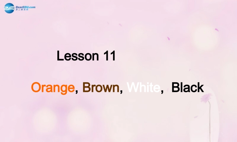 2014秋三年级英语上册 Lesson 11 Orange, Brown, White, Black课件4 冀教版