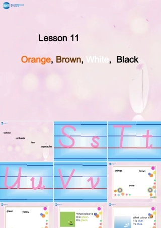 2014秋三年级英语上册 Lesson 11 Orange, Brown, White, Black课件4 冀教版