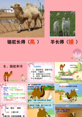 2017秋人教版语文二年级上册选读6《骆驼和羊》ppt课件2