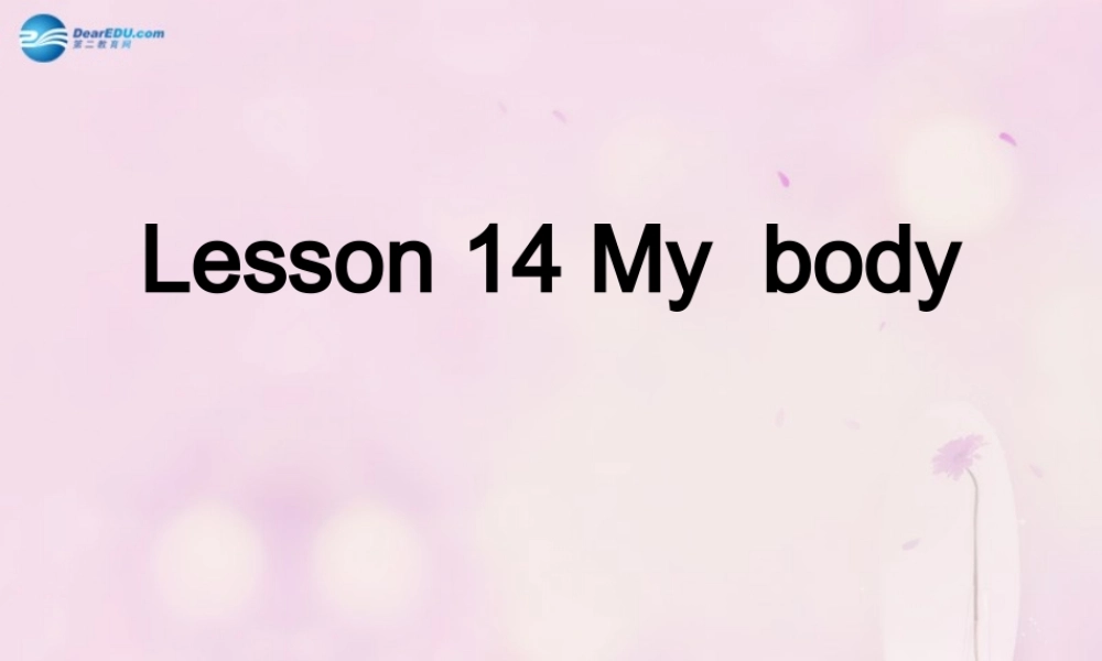 2014秋三年级英语上册 Lesson 14 My Body课件1 冀教版