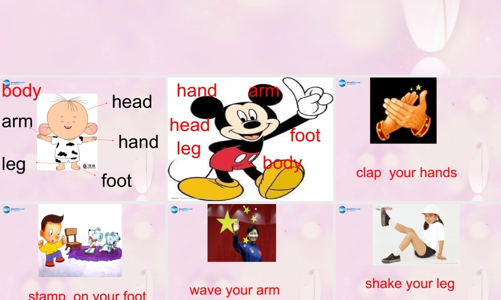 2014秋三年级英语上册 Lesson 14 My Body课件3 冀教版