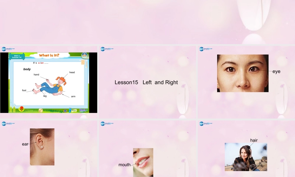 2014秋三年级英语上册 Lesson 15 Left and Right课件 冀教版