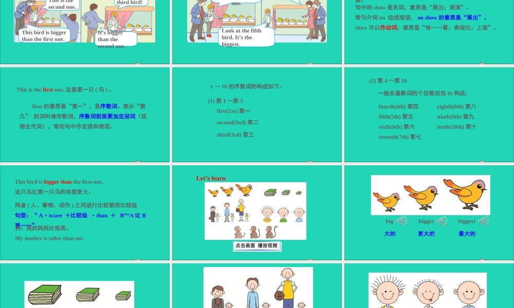 Unit 9 This bird is bigger than the first one课件