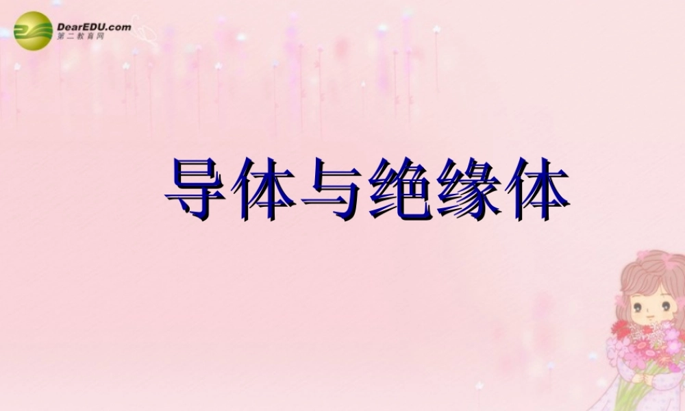 四年级科学下册 导体与绝缘体课件（3） 教科版