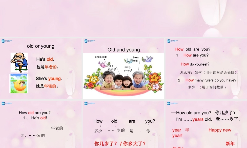 2014秋三年级英语上册 Lesson 22 How Old Are You课件1 冀教版