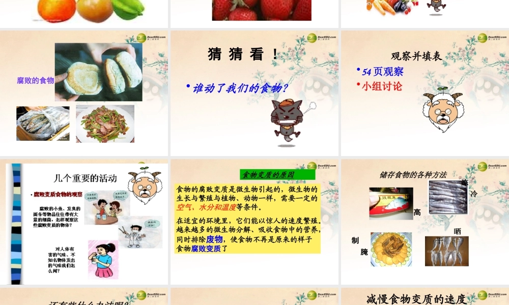 四年级科学下册 减慢食物变质的速度课件 教科版