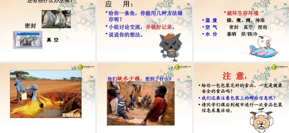 四年级科学下册 减慢食物变质的速度课件 教科版