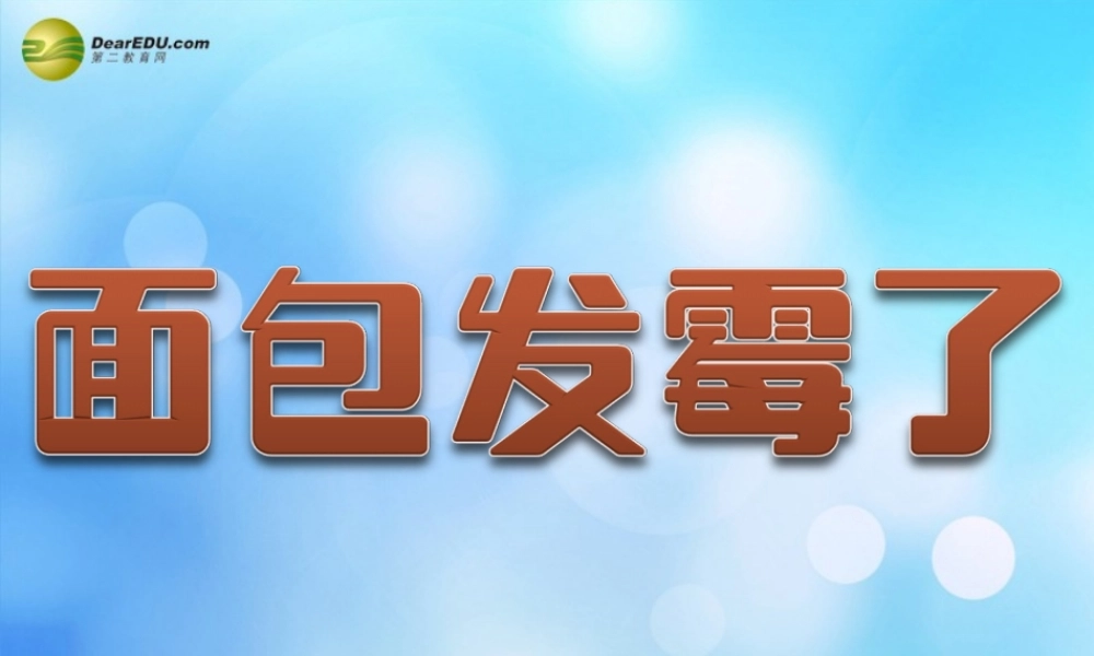 四年级科学下册 面包发霉了课件（1） 教科版