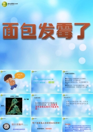 四年级科学下册 面包发霉了课件（1） 教科版