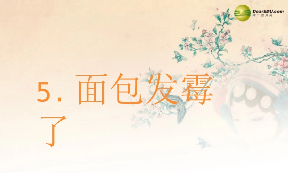 四年级科学下册 面包发霉了课件（2） 教科版