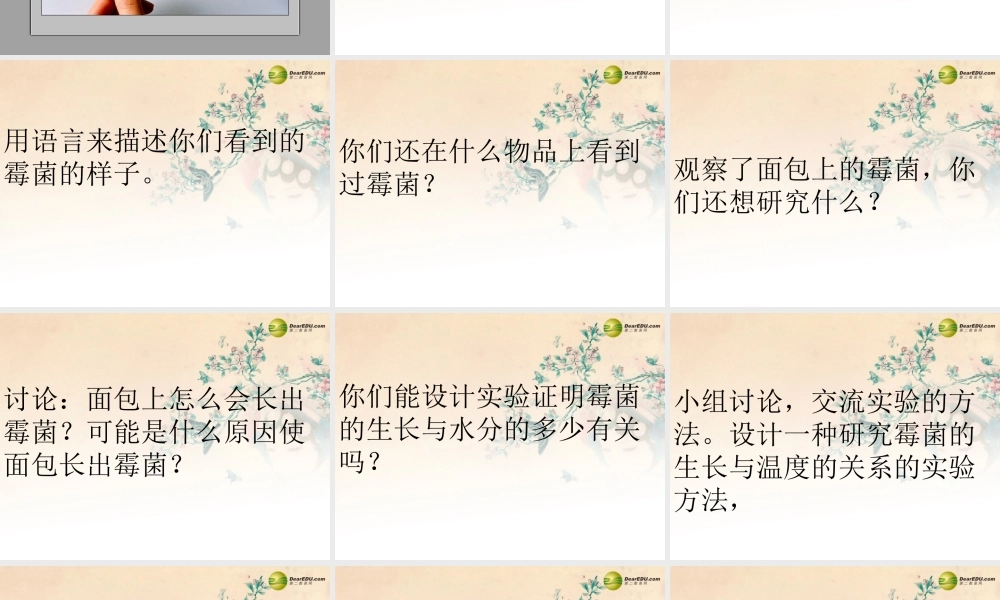 四年级科学下册 面包发霉了课件（2） 教科版