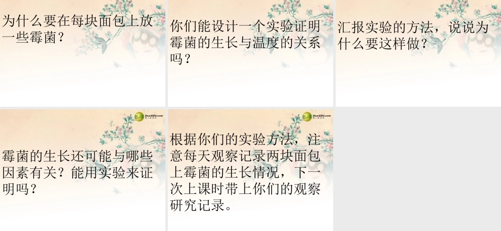 四年级科学下册 面包发霉了课件（2） 教科版