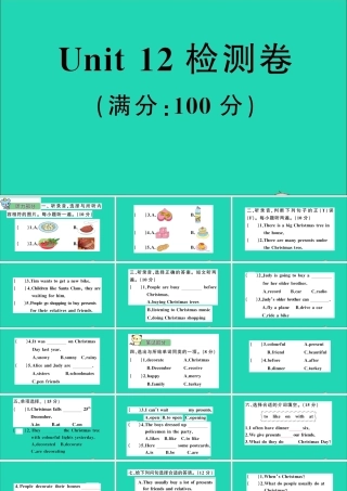 Unit 12 检测卷课件