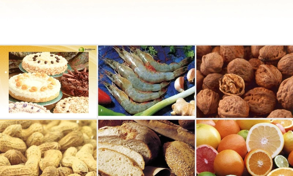 四年级科学下册 一天的食物课件（1） 教科版