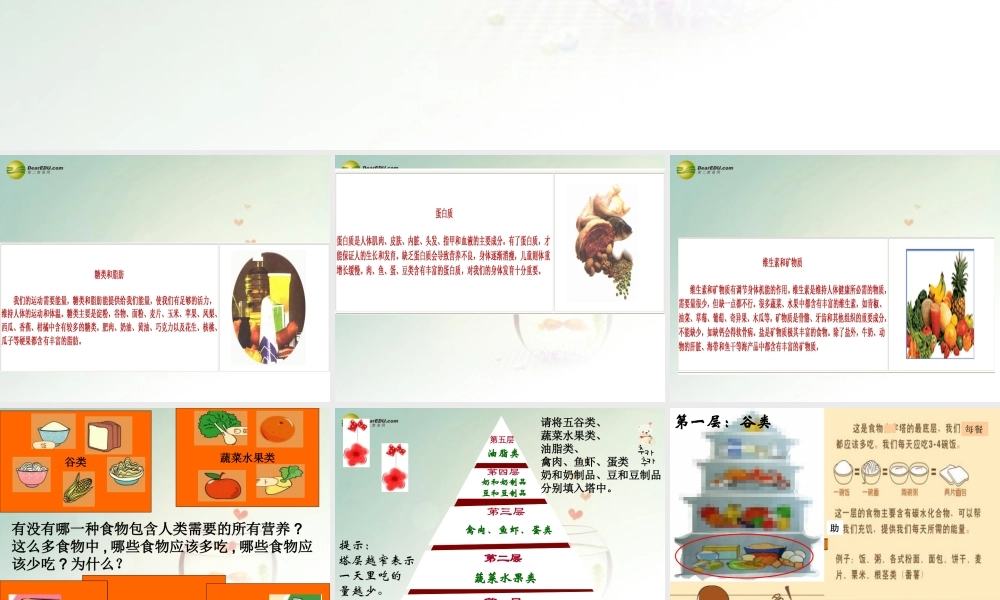 四年级科学下册 营养要均衡课件（1） 教科版