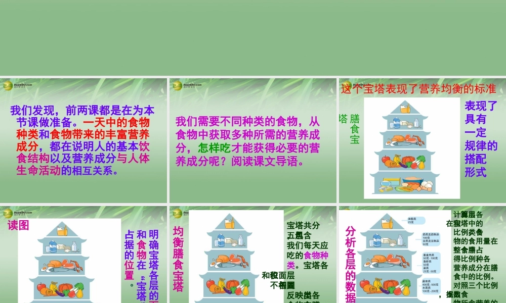 四年级科学下册 营养要均衡课件（2） 教科版