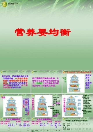 四年级科学下册 营养要均衡课件（2） 教科版