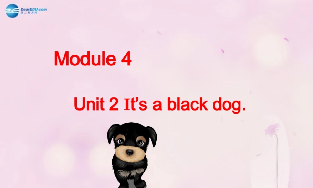2014秋三年级英语上册 Module 4 Unit 2 It’s a black dog课件5 外研版（一起）