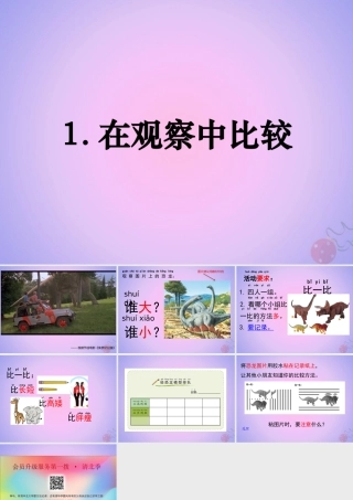 一年级科学上册 比较与测量 1在观察中比较课件 教科版-教科版小学一年级上册自然科学课件