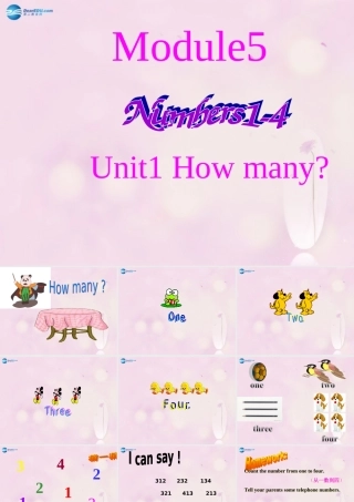 2014秋三年级英语上册 Module 5 Unit 1 How many课件3 外研版（一起）