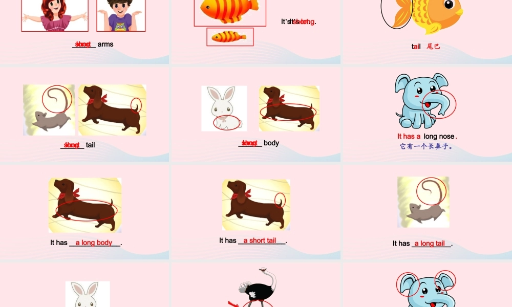 2020春三年级英语下册 Unit 3 At the zoo B Let's learn Let's do课件+素材 人教PEP版