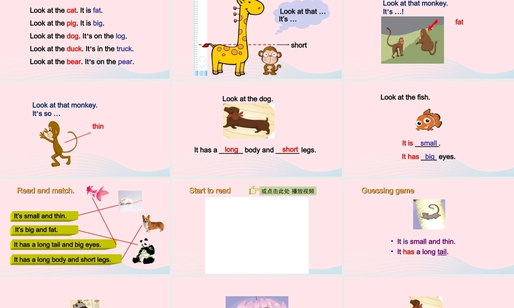 2020春三年级英语下册 Unit 3 At the zoo B Start to read课件+素材 人教PEP版