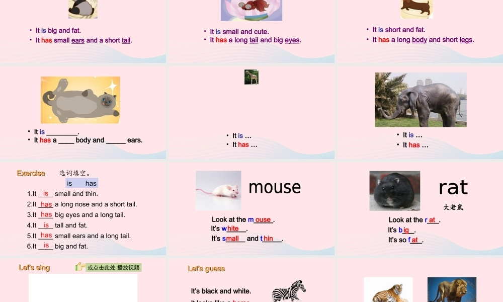 2020春三年级英语下册 Unit 3 At the zoo B Start to read课件+素材 人教PEP版