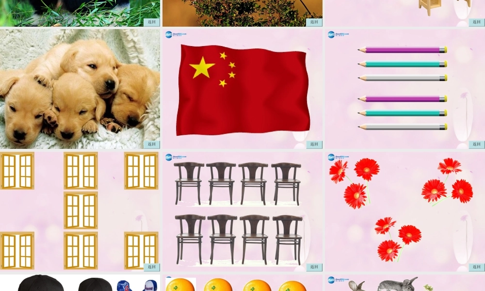 2014秋三年级英语上册 Module 5 Unit 2 Nine girls课件5 外研版（一起）