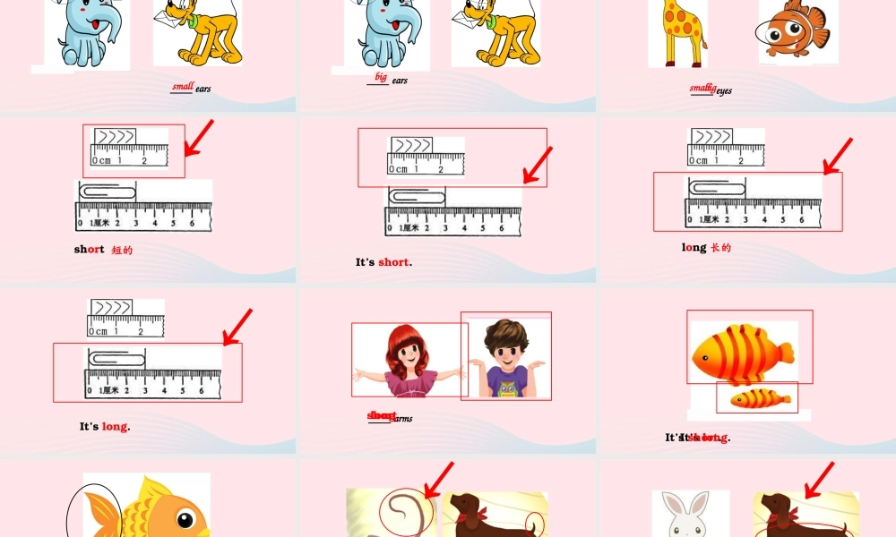 2020春三年级英语下册 Unit 3 At the zoo Part B Let's learn课件+素材 人教PEP版