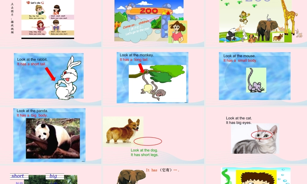 2020春三年级英语下册 Unit 3 At the zoo Part B Let's talk课件+素材 人教PEP版