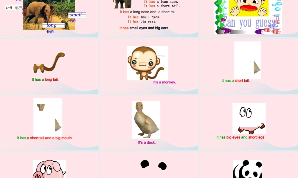 2020春三年级英语下册 Unit 3 At the zoo Part B Let's talk课件+素材 人教PEP版