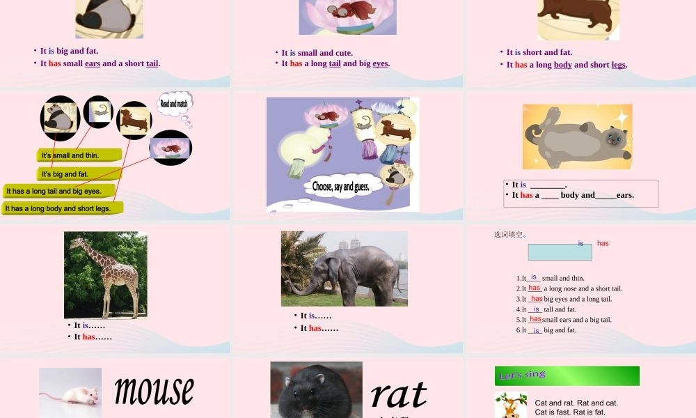 2020春三年级英语下册 Unit 3 At the zoo Part B Start to read Part C Story time课件+素材 人教PEP版