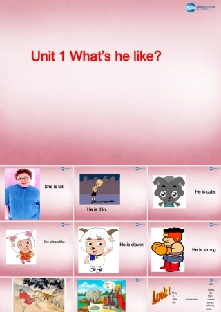 五年级英语上册 Unit1 What's he like课件3 人教PEP