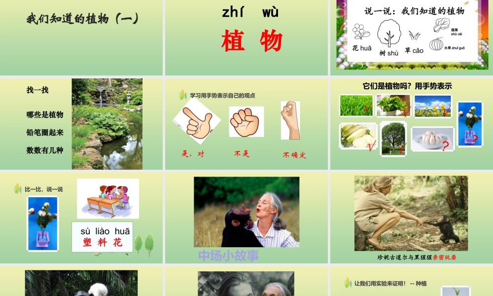 一年级科学上册 第1单元 植物 1.1 我们知道的植物课件 教科版-教科版小学一年级上册自然科学课件