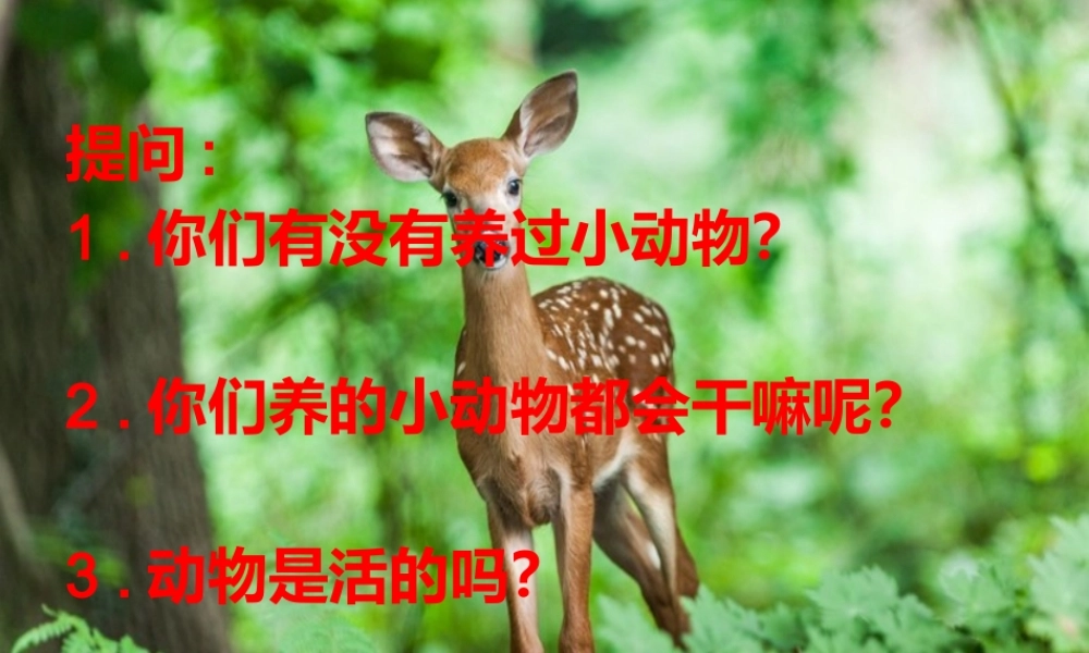 一年级科学上册 第1单元 植物 1.5《植物是“活”的吗》课件 教科版-教科版小学一年级上册自然科学课件