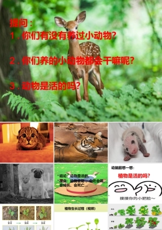 一年级科学上册 第1单元 植物 1.5《植物是“活”的吗》课件 教科版-教科版小学一年级上册自然科学课件