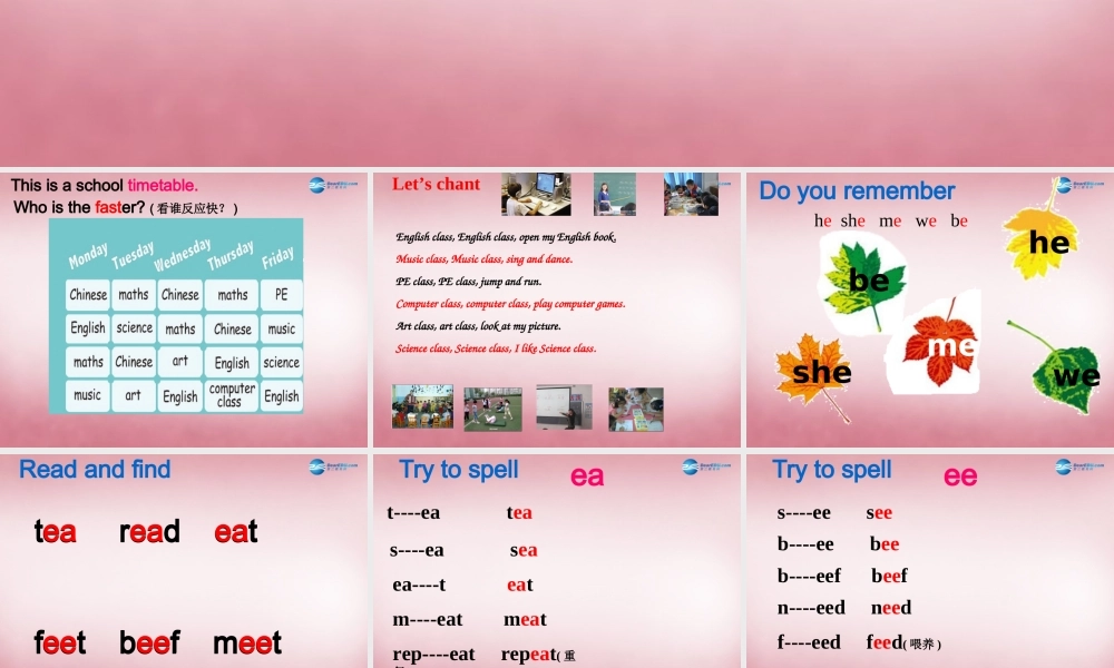 五年级英语上册 Unit2 My week课件3 人教PEP