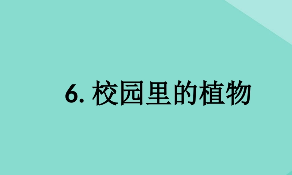 一年级科学上册 第1单元 植物 1.6《校园里的植物》课件 教科版-教科版小学一年级上册自然科学课件