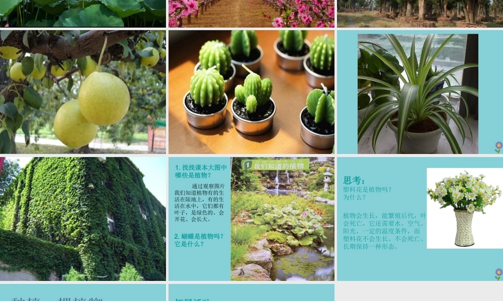 一年级科学上册 第1单元 植物 1《我们知道的植物》课件 教科版-教科版小学一年级上册自然科学课件