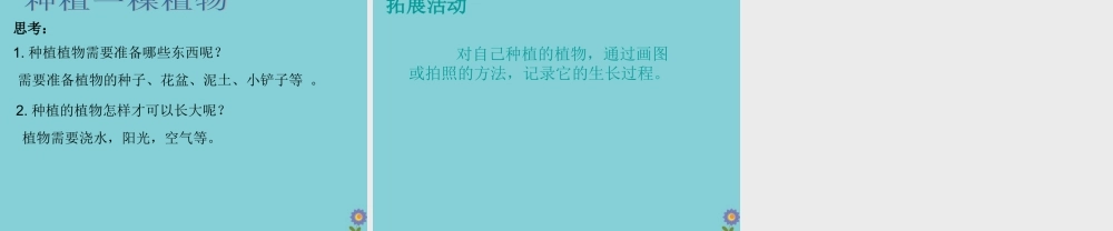 一年级科学上册 第1单元 植物 1《我们知道的植物》课件 教科版-教科版小学一年级上册自然科学课件