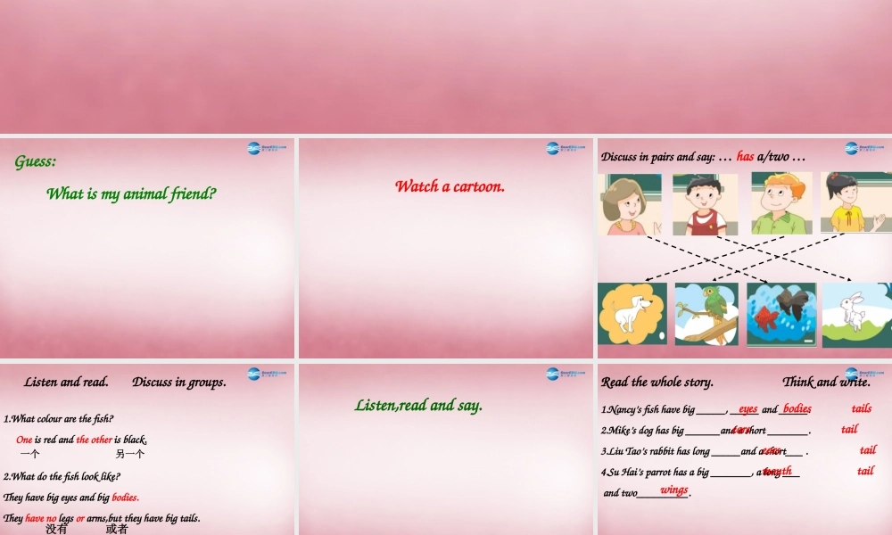 五年级英语上册 Unit3 Our animal friends课件1 译林版