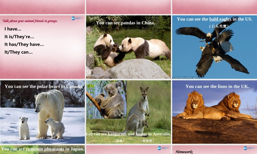 五年级英语上册 Unit3 Our animal friends课件1 译林版