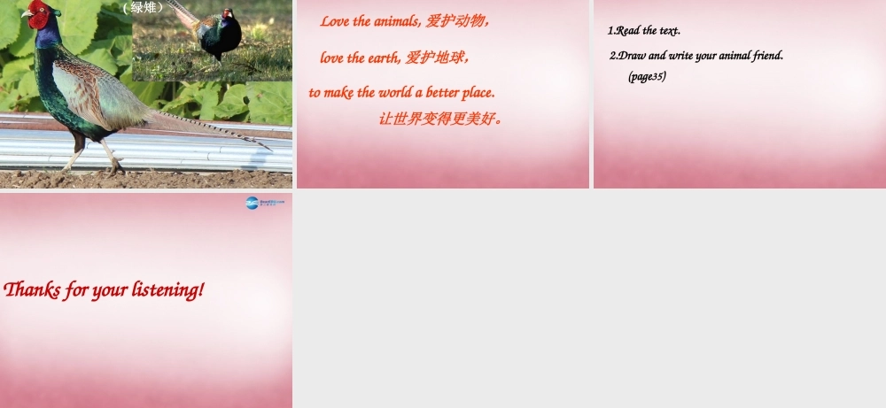 五年级英语上册 Unit3 Our animal friends课件1 译林版