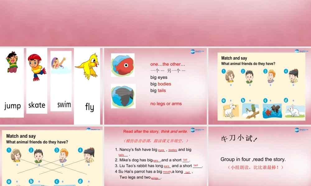 五年级英语上册 Unit3 Our animal friends课件2 译林版