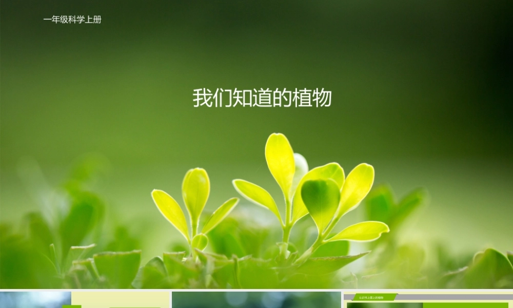 一年级科学上册 第1单元 植物 1《我们知道的植物》课件 教科版-教科级上册自然科学课件