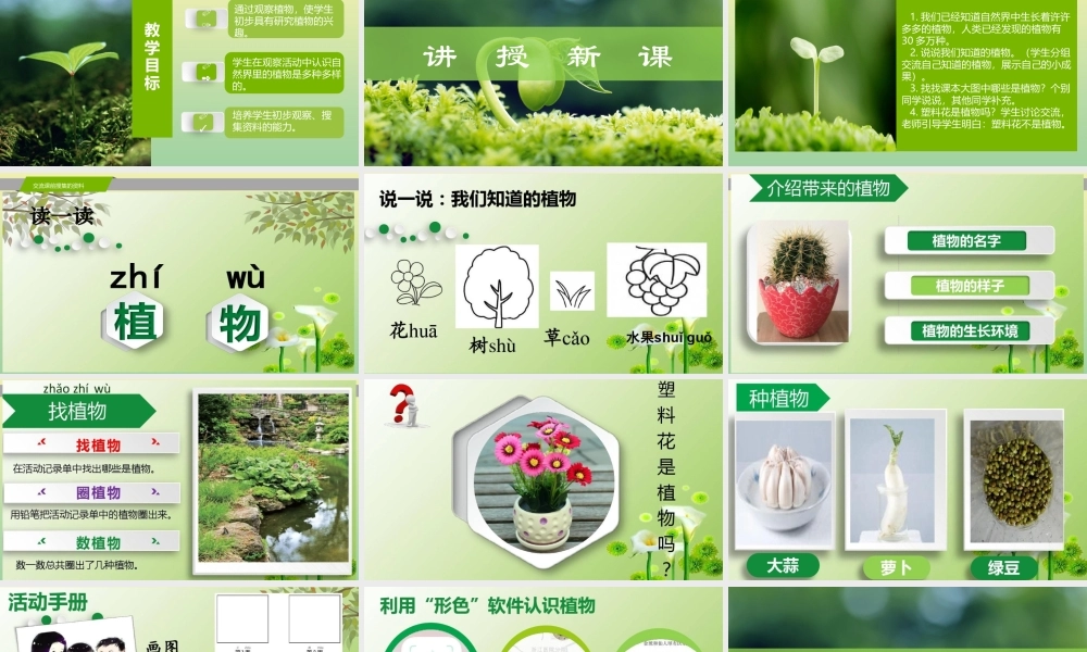 一年级科学上册 第1单元 植物 1《我们知道的植物》课件 教科版-教科级上册自然科学课件