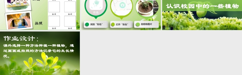 一年级科学上册 第1单元 植物 1《我们知道的植物》课件 教科版-教科级上册自然科学课件